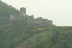 PICTURES/Wachau Valley - Cruising Along The Danube/t_Spitz - Old Hinterhaus Castle1.JPG